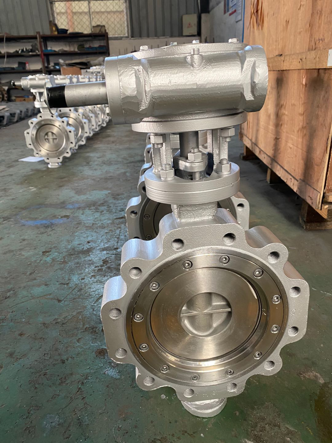 DN250 WCB Triple Eccentric Lug Butterfly Valve - TFW VALVE