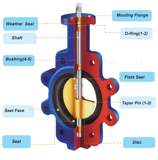 Through Shaft Without Pin Lug Type Butterfly Valve