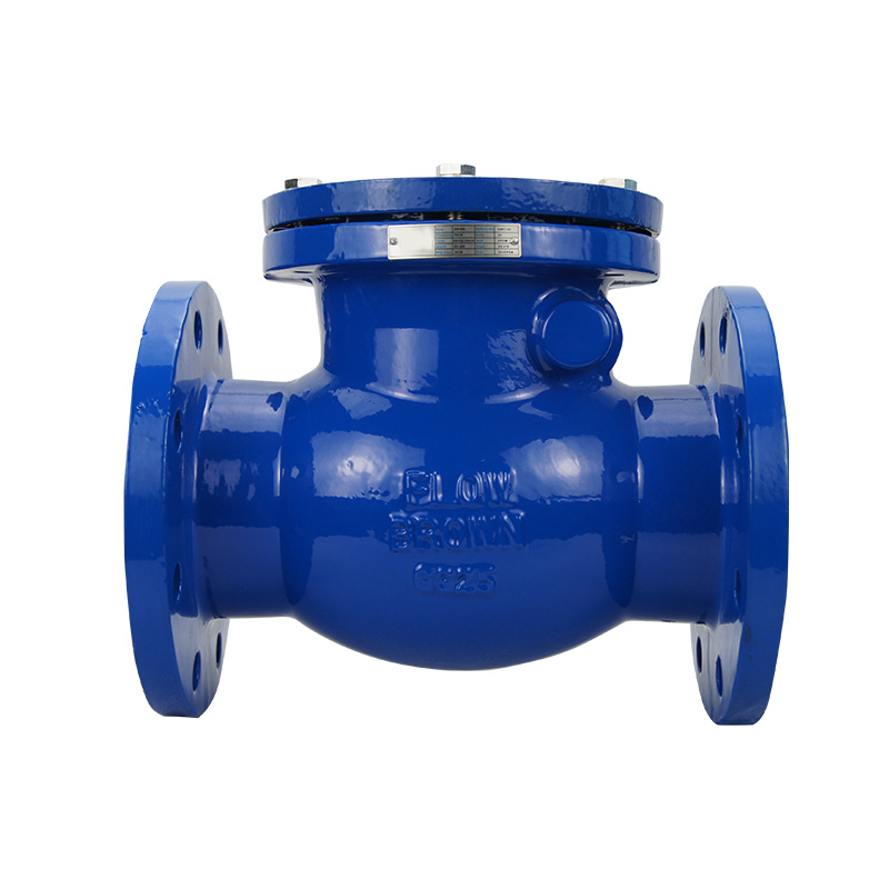 Swing Check Valve (BS5153)