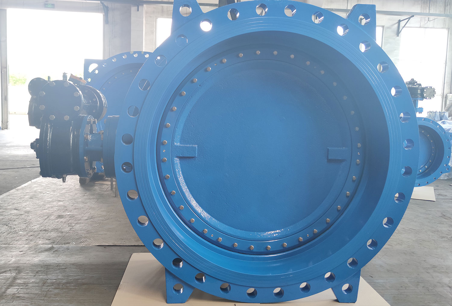 double eccentric butterfly valve meaning TFW VALVE