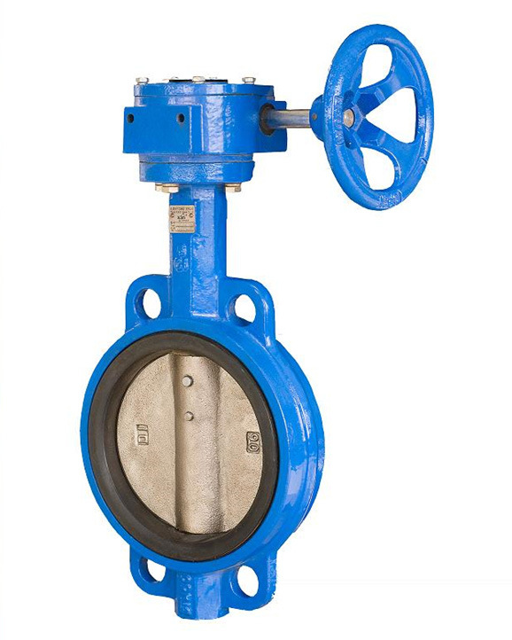 Worm Gear Butterfly Valve with Pin Pn16 JIS10k