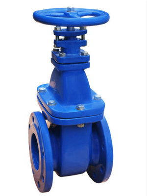 Chinese Factory Ductile Iron Rising Stem Solid Wedge Gate Valve