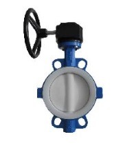 PTFE Lined Cast Body Butterfly Valve with Gear Box