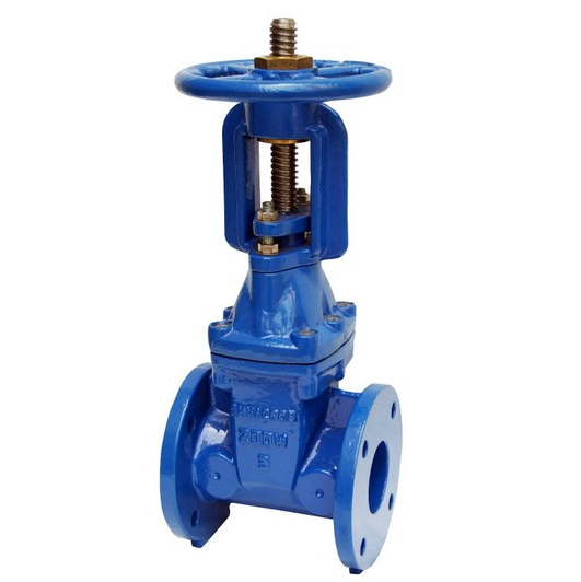 Rising Stem Resilient Seat Gate Valve
