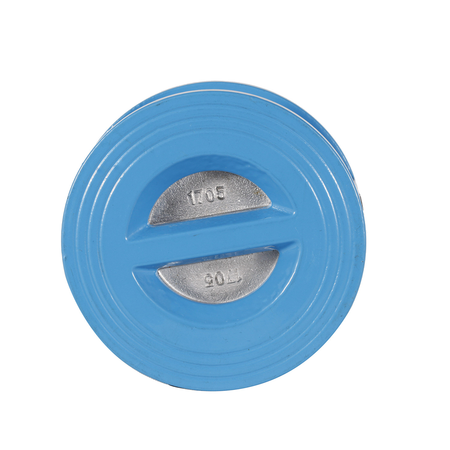 Stainless Steel Dual Plate Check Valve