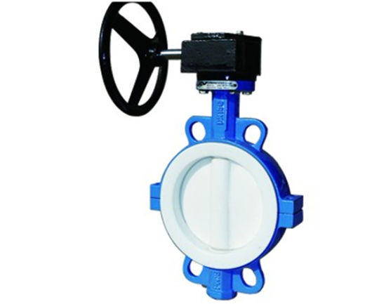 DIN ANSI JIS API Worm Gear Wafer Lt Butterfly Valve Dn250 Good Price Butterfly Valve